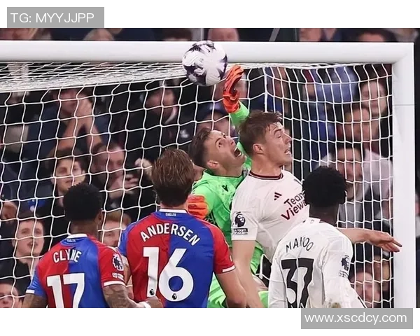 莱切与水晶宫激战正酣2020年7月3日精彩回顾与分析 莱切与水晶宫激战正酣2020年7月3日精彩回顾与分析